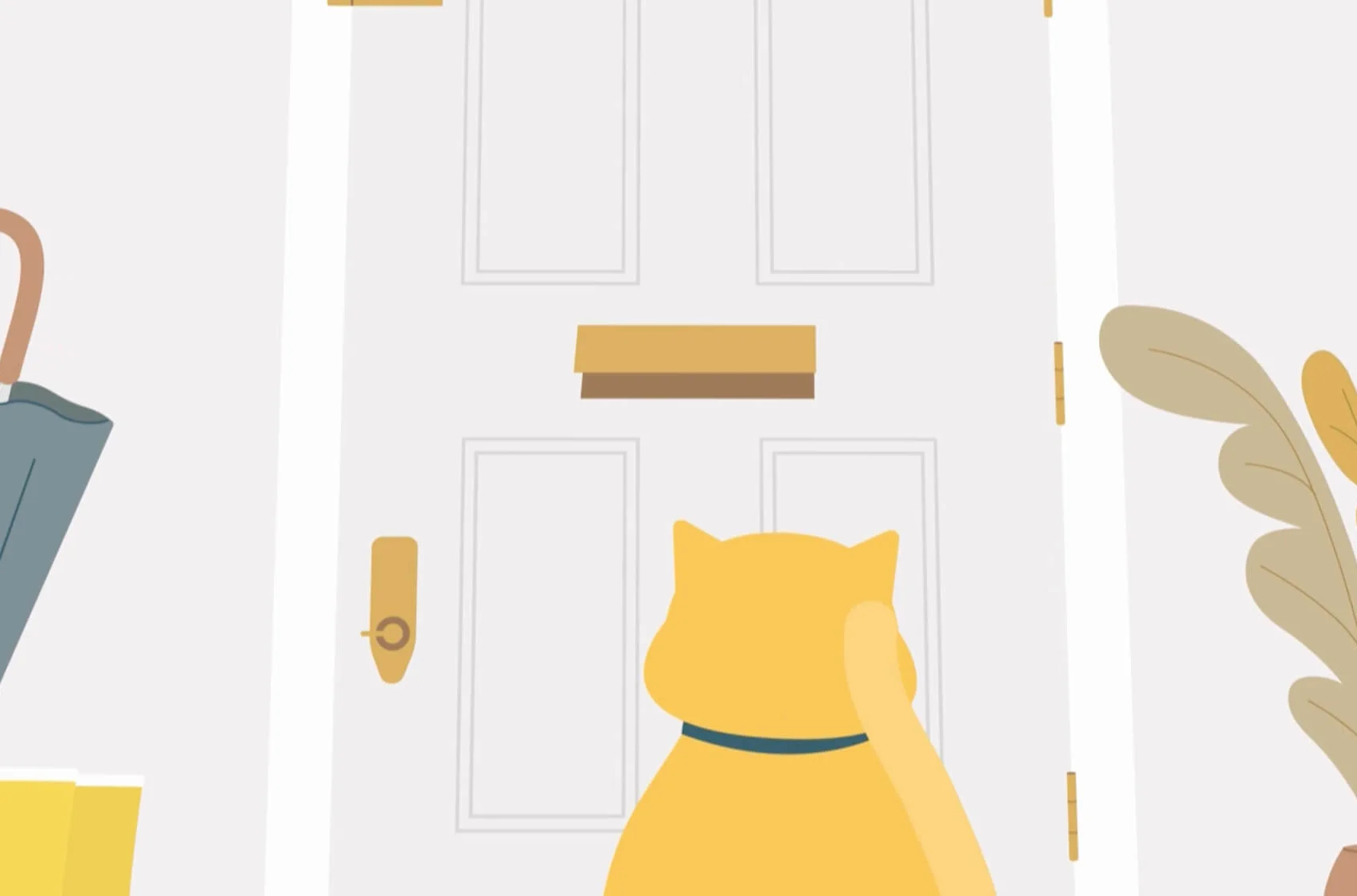 In-house illustrations